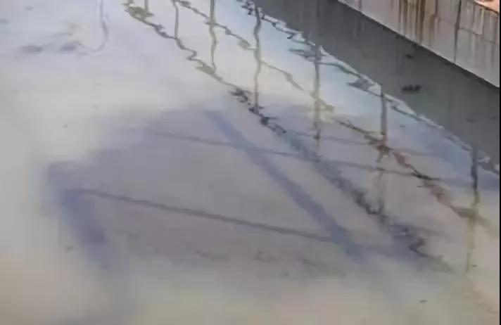 1567757767387241.jpg 5.jpg