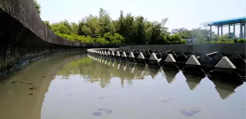 1567758244428430.jpg 14.jpg